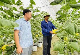 Gia Lộc quan tâm hỗ trợ, đầu tư vào sản xuất nông nghiệp